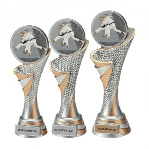 Judo trofee