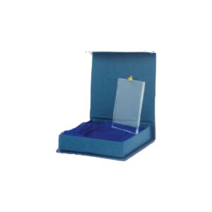 Glazen medaille rechthoek