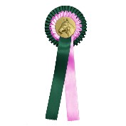met paardenhoofd
